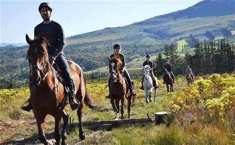 Horse-riding in Hermanus