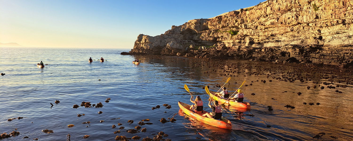 Sea kayaking Hermanus