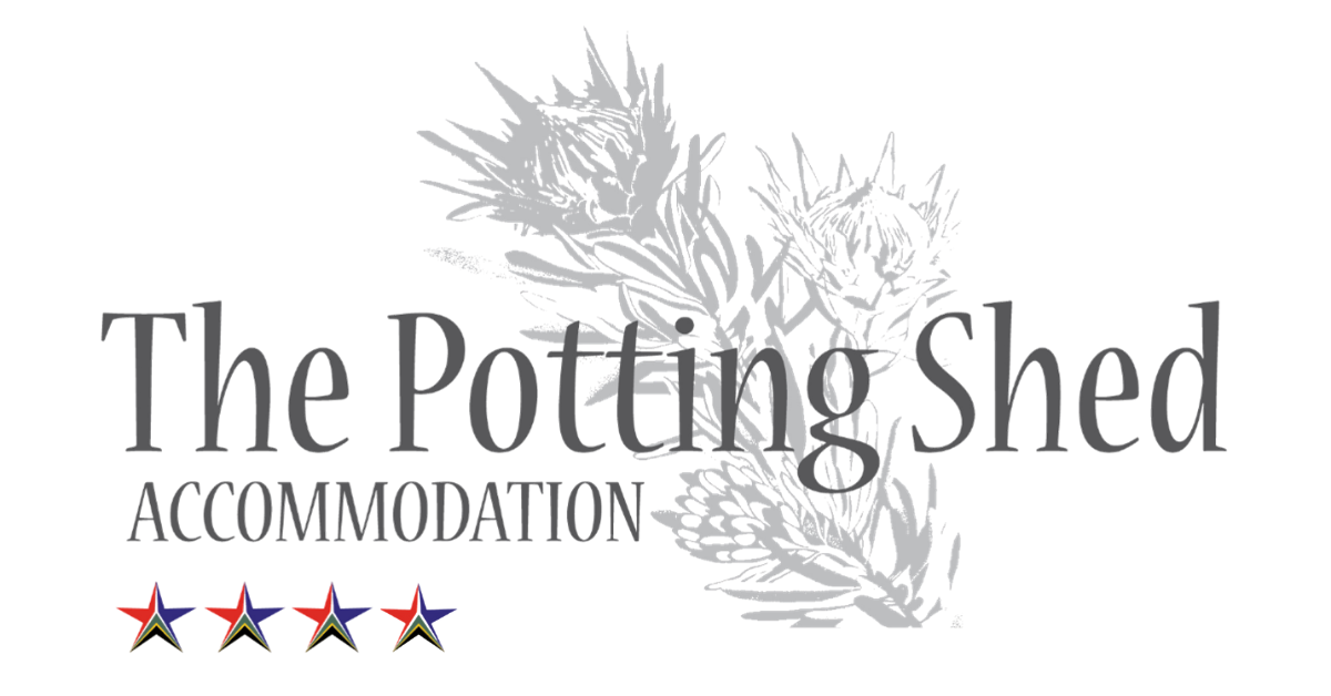 Accommodation central Hermanus - The Potting Shed Guest House