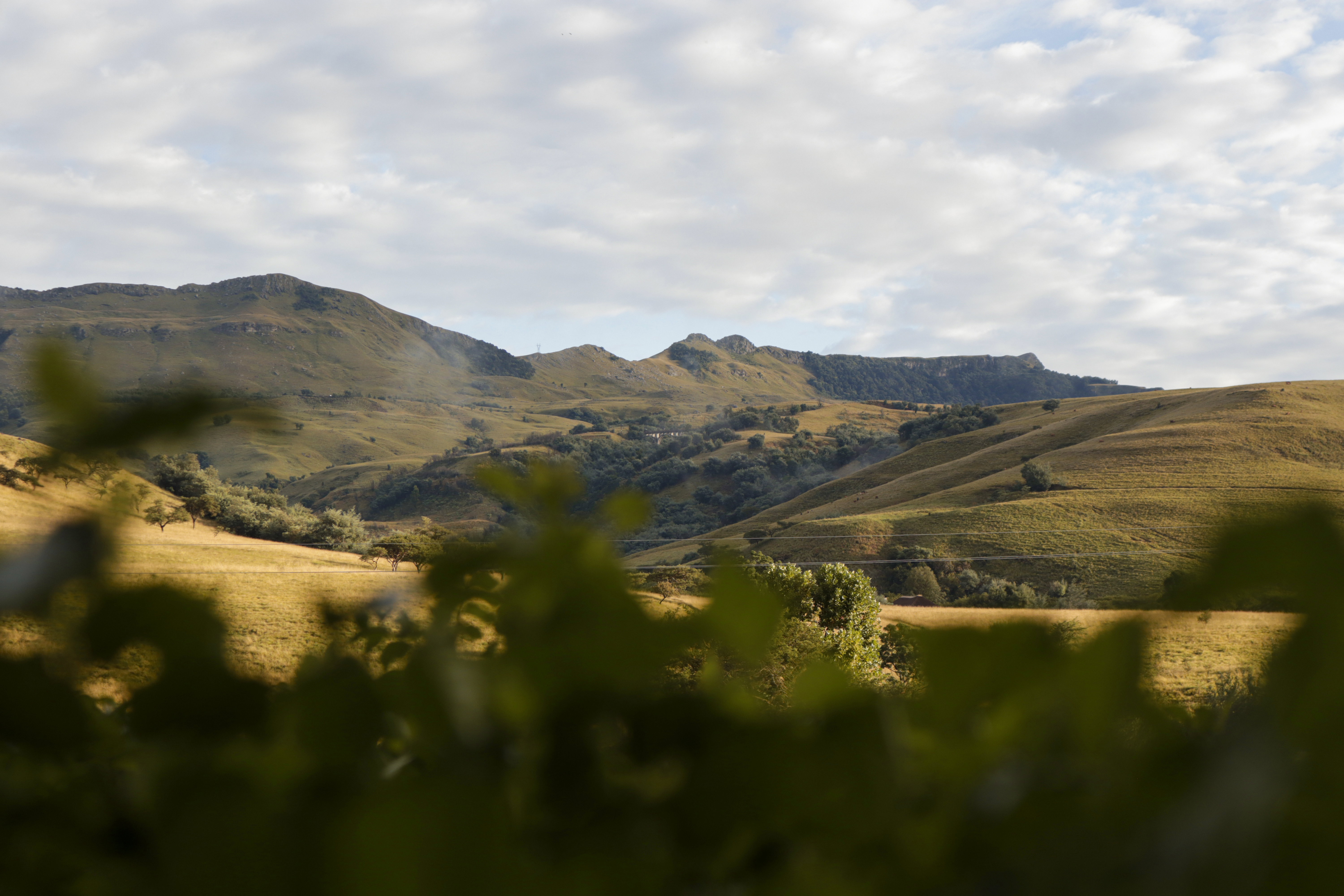 A Farm Stay Experience