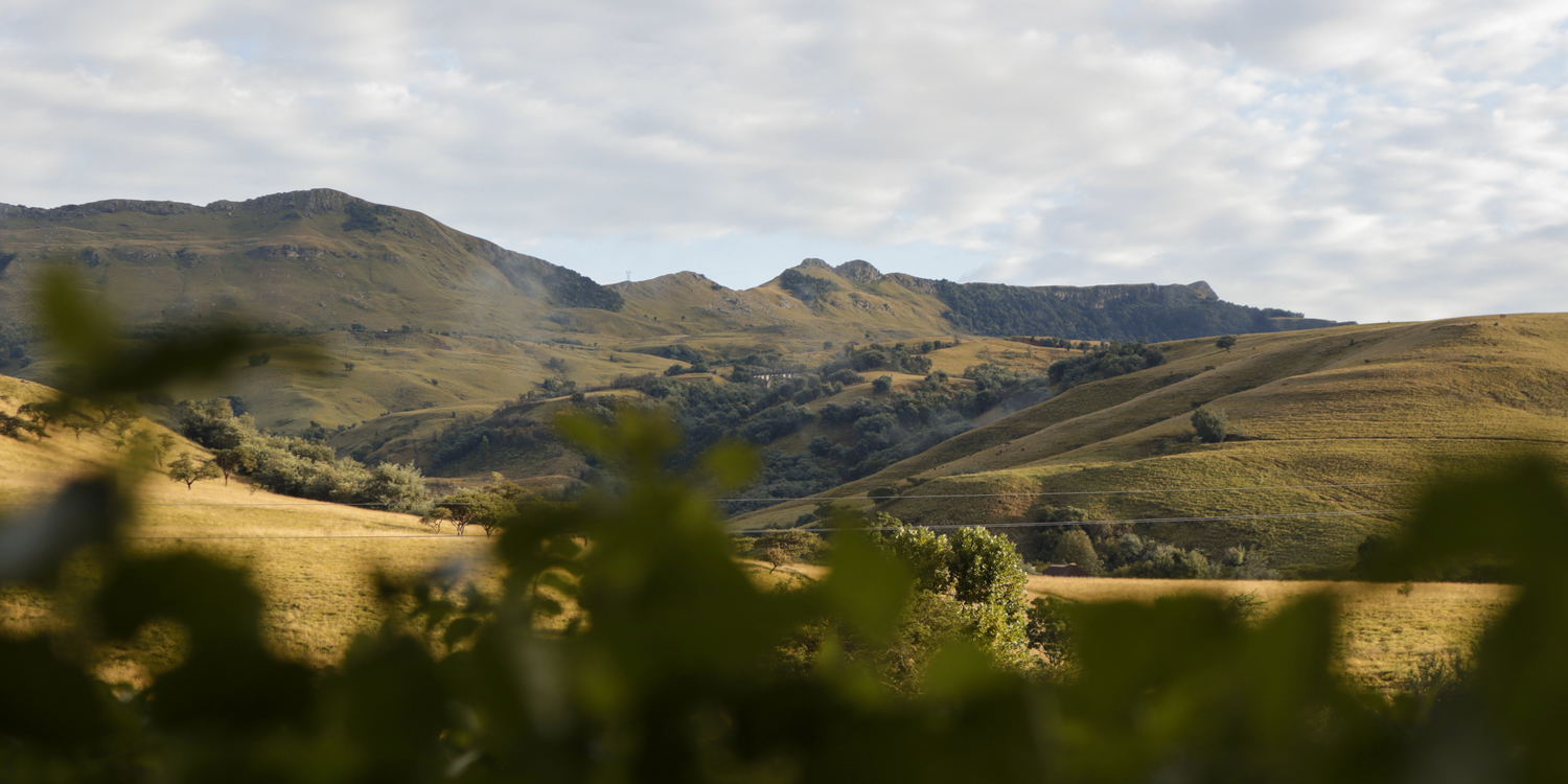 A Farm Stay Experience