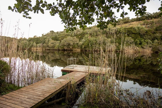 Rietpoel Truffle Farm Accommodation, Stilbaai