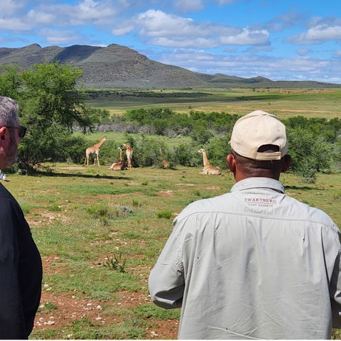 Guided Tours