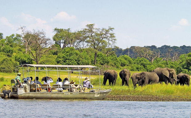 Chobe Boat Cruise Chobe Boat Cruise