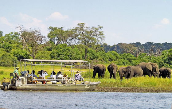 Chobe Boat Cruise