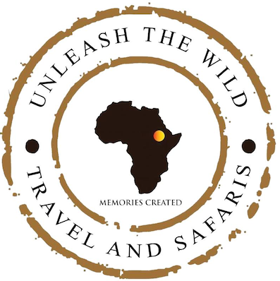 Unleash The Wild | Personalized Wildlife Tours in Southern Africa