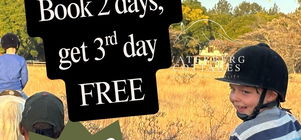 Early December Special