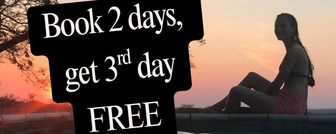 December Special Offer