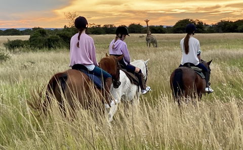Horse Riding