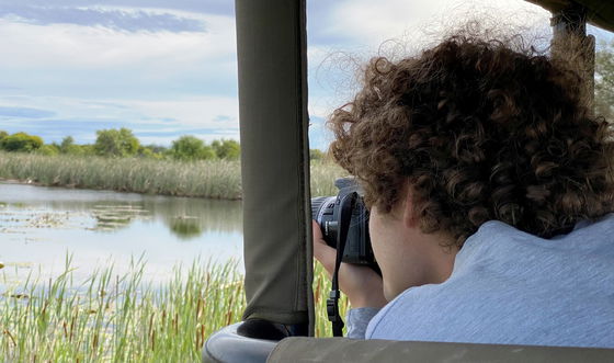 Birding
