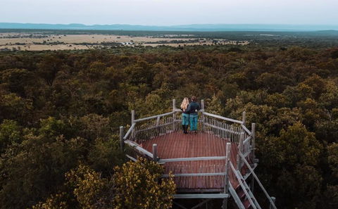 Bush walking trails & Tree Tops Lookout