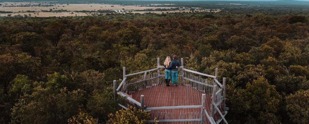 Bush Walks