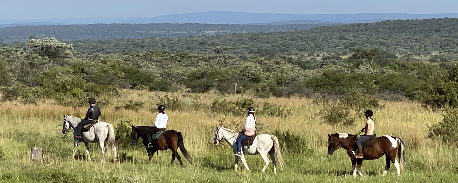 Horse riding