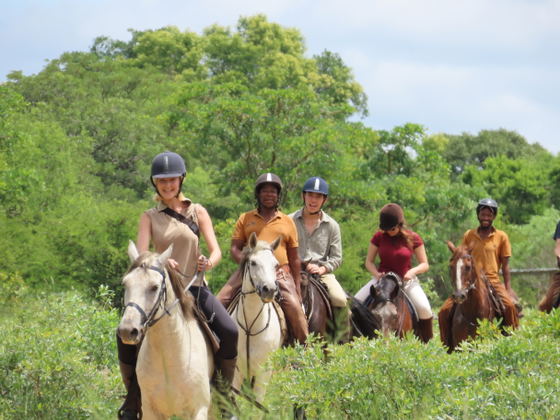 Horse riding Horse riding