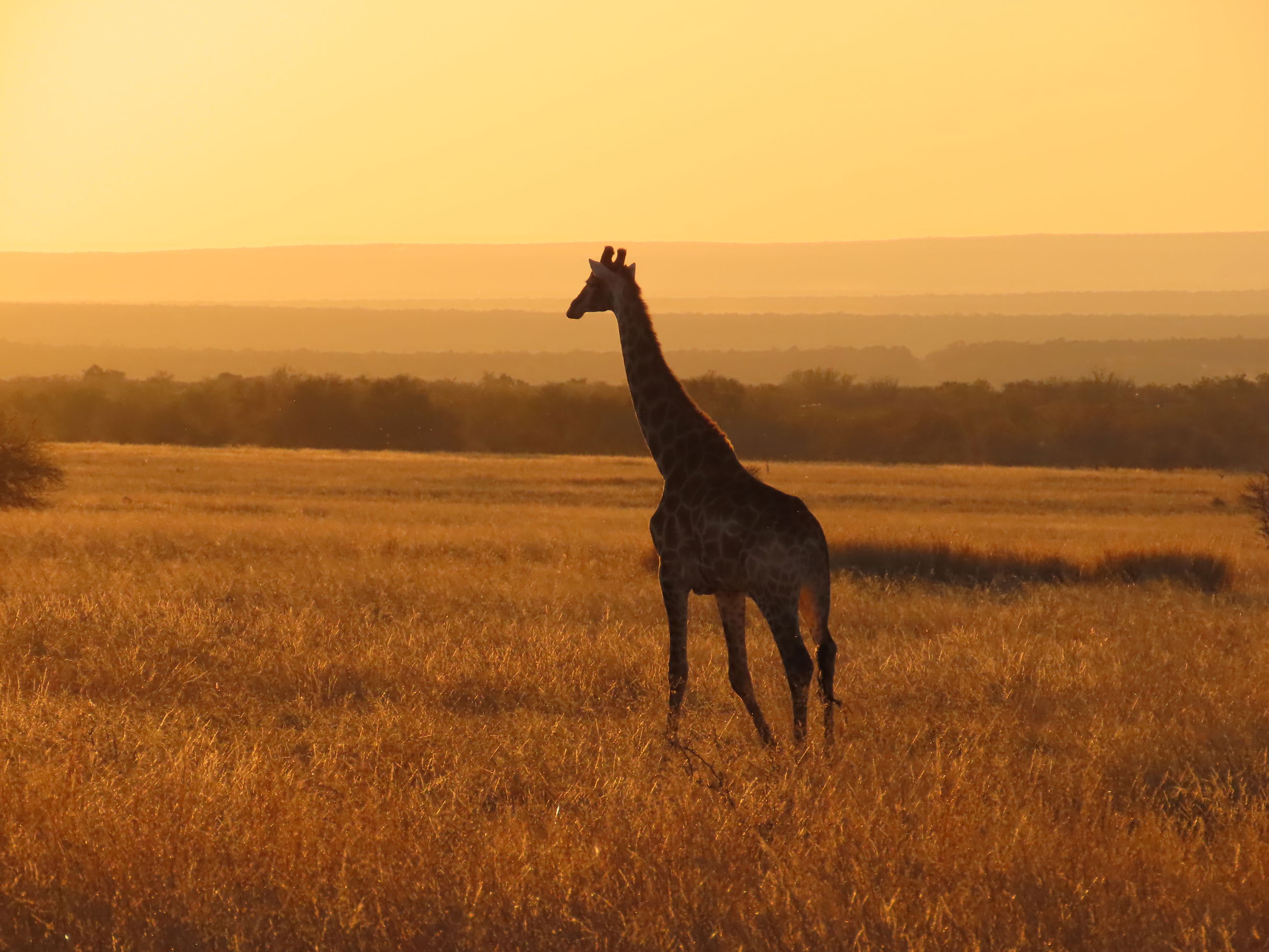 Private Game Reserve
