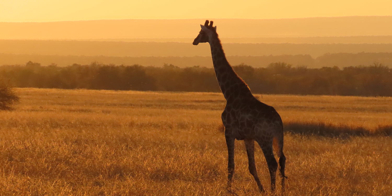 Private Game Reserve