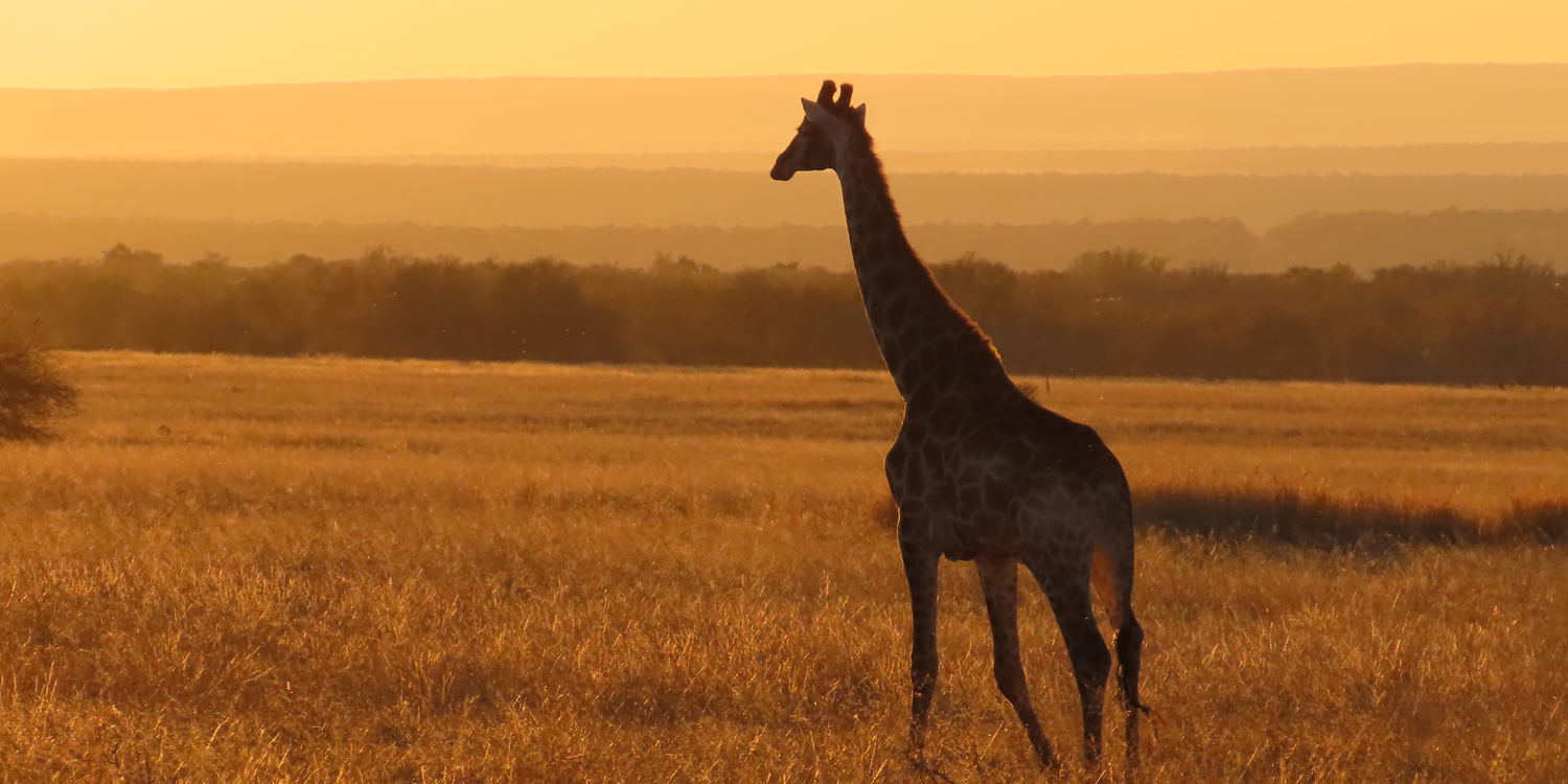 Private Game Reserve