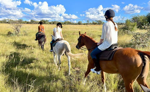 Horse Riding
