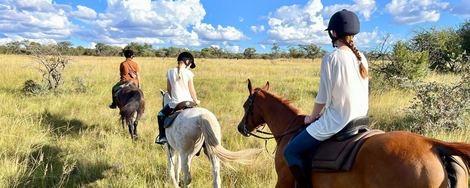 Horse Riding