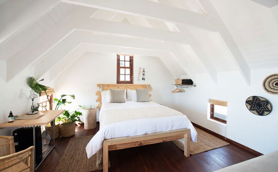 Aloe House