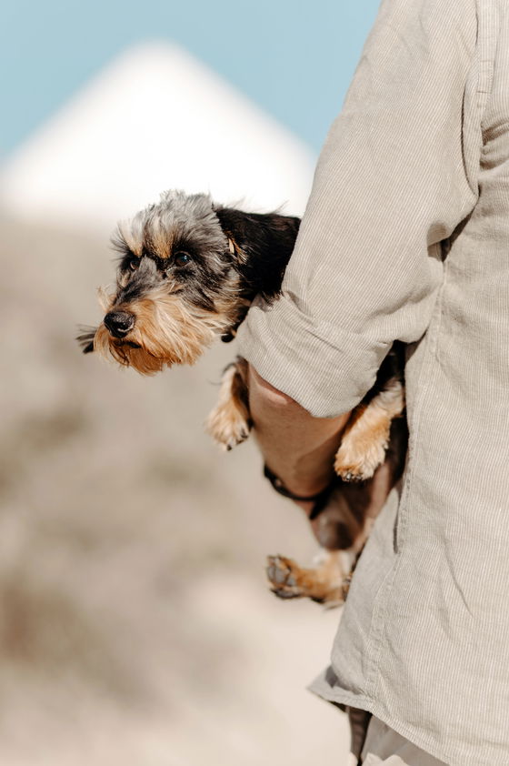 Image showing pet-friendly accommodation in Paternoster: gonana collection