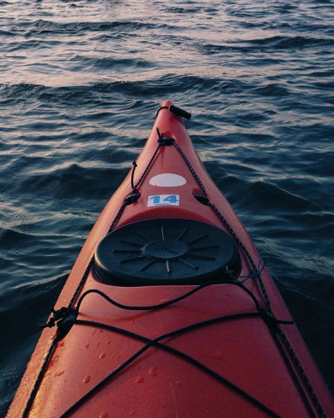 Kayak