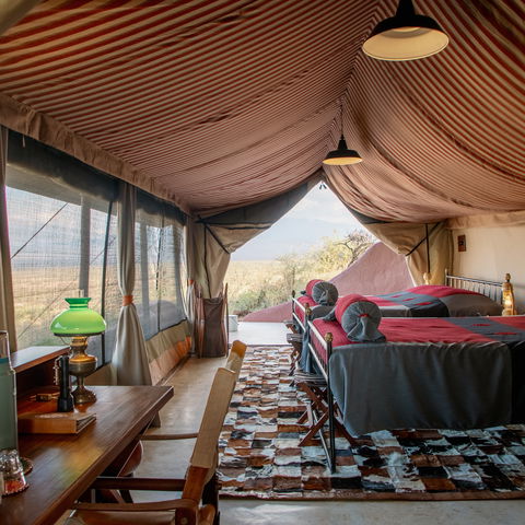 Number of Luxury Tents