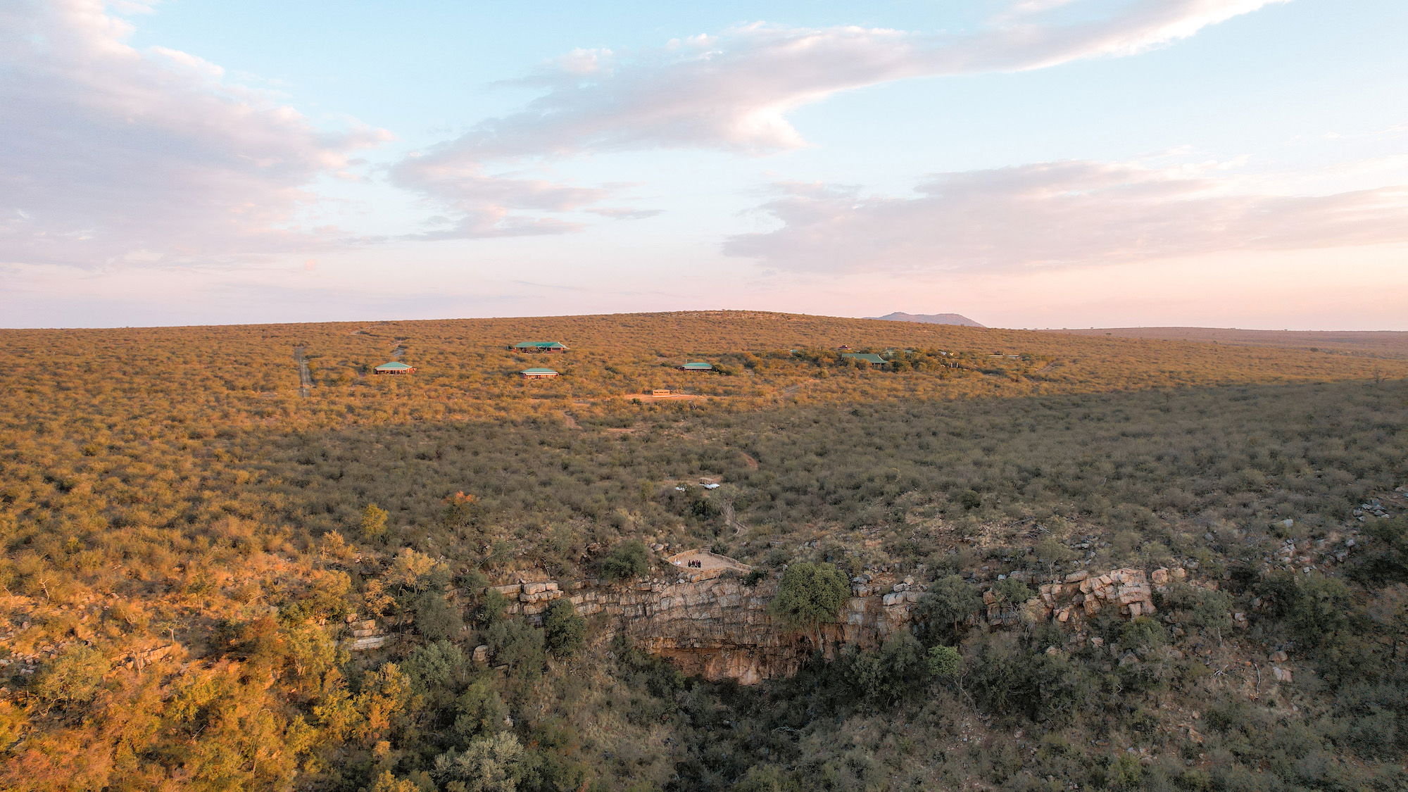 A contemporary safari experience