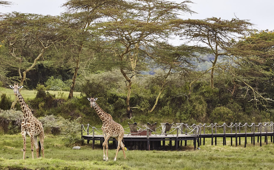 Days 1-3: Arusha National Park Immersion