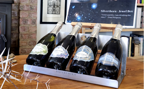 Silverthorn: The Art of Sparkling Storytelling