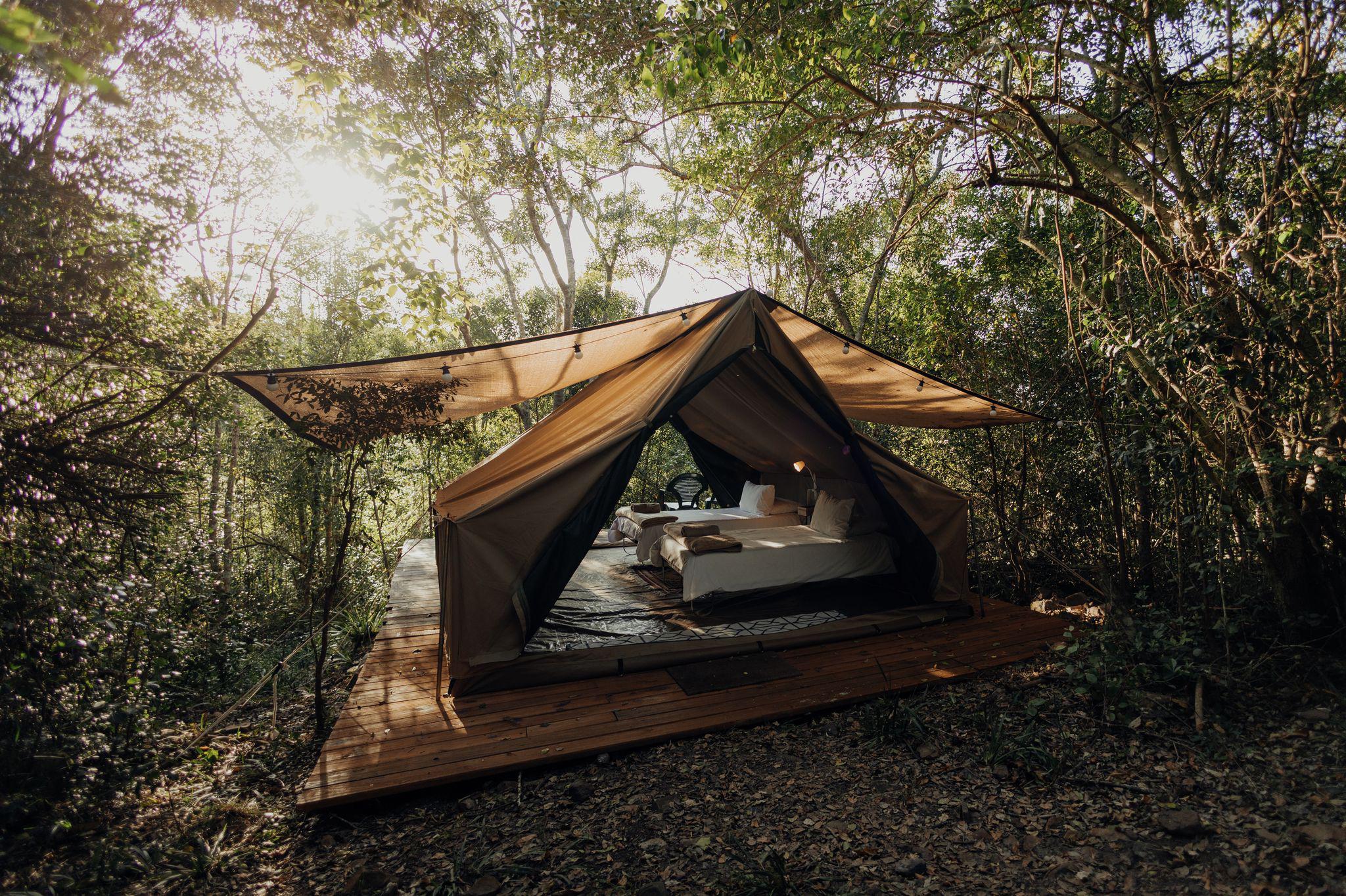 Accommodation