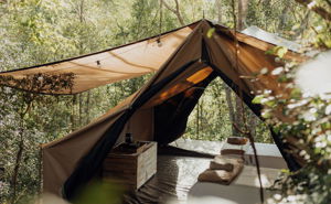 Forest Glamping