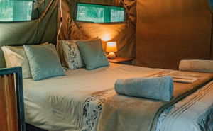 Flycatcher Glamping