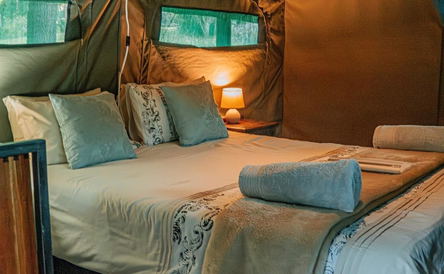 Flycatcher Glamping