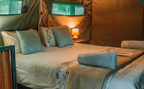 Flycatcher Glamping