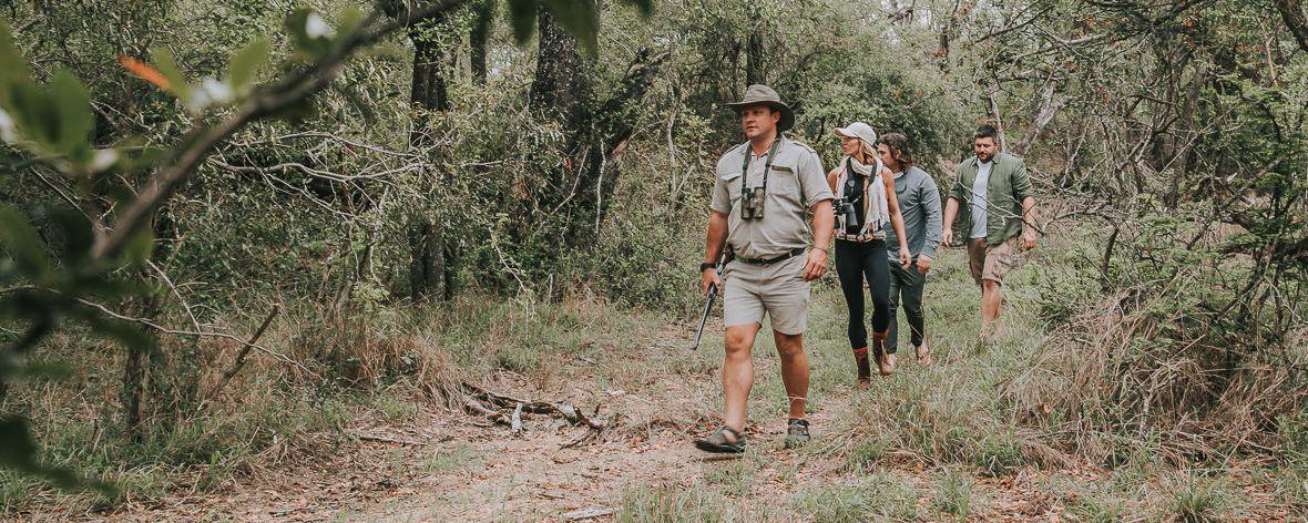 Bush Walks