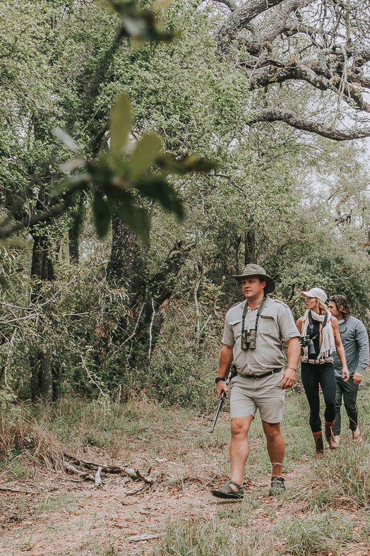 Safari Experiences