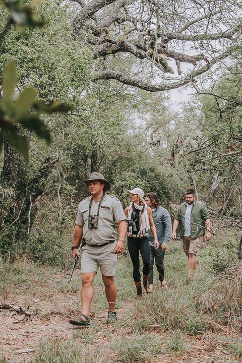 Safari Experiences