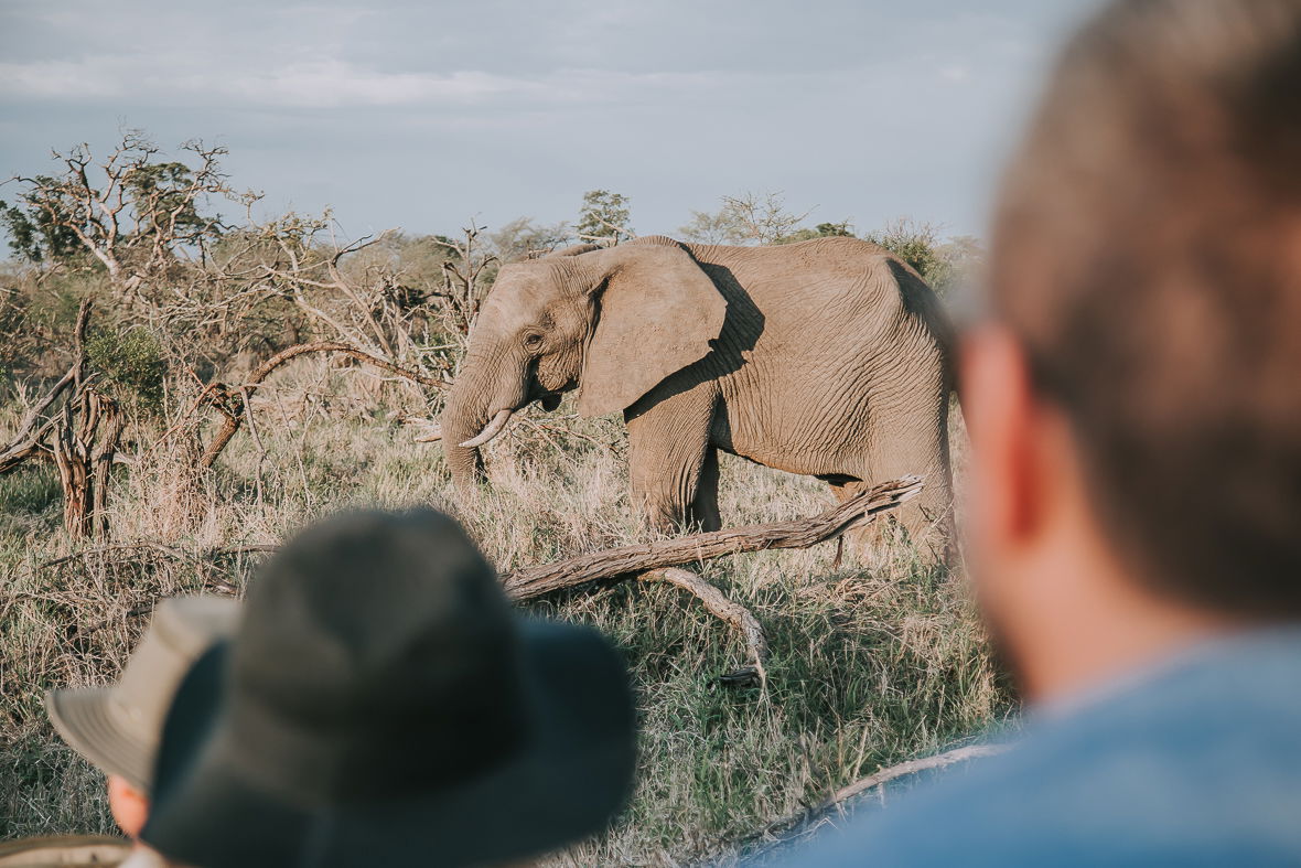 Game Drives