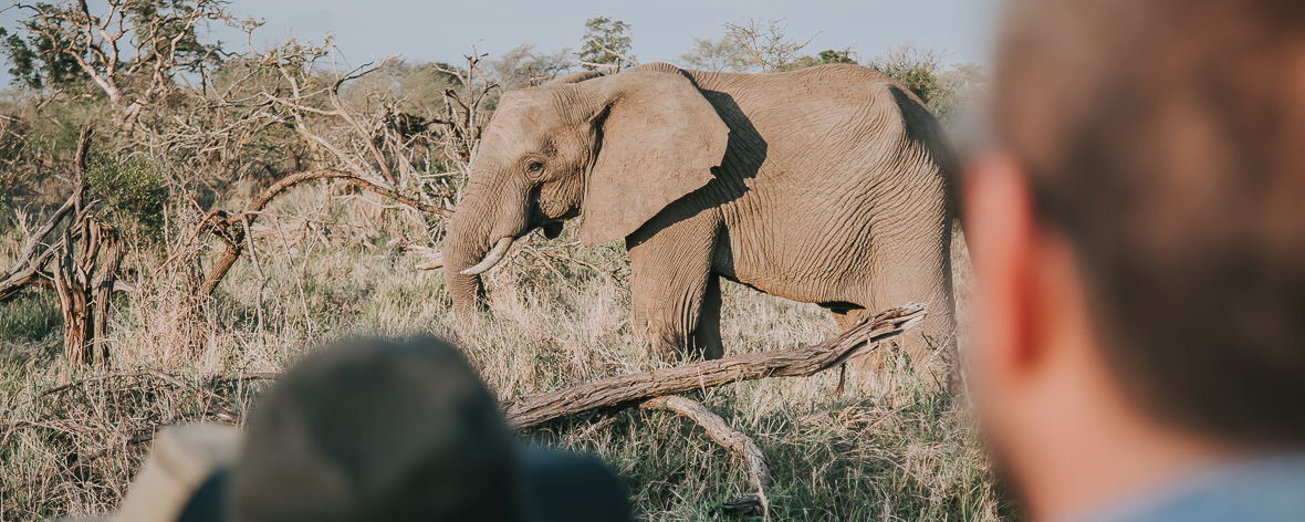 Game Drives