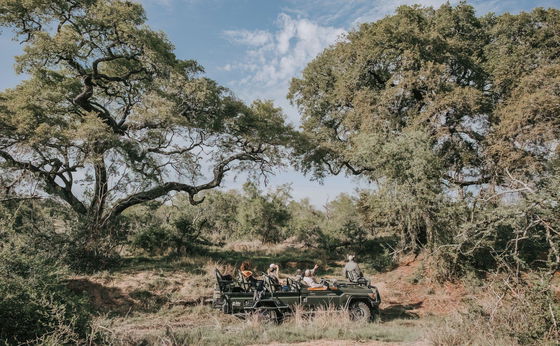 Thornybush Nature Reserve