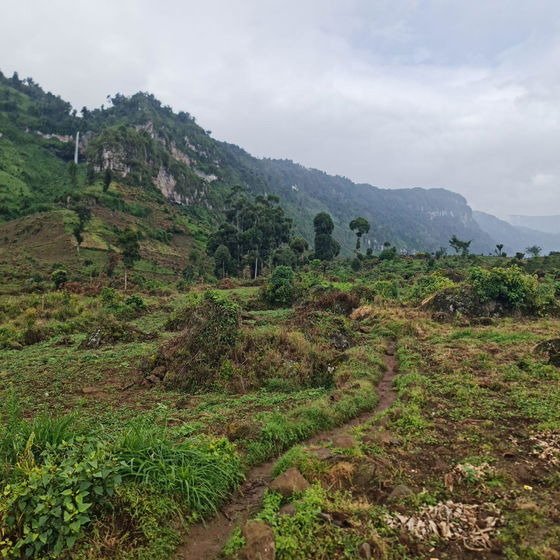 Five Day Trek down into the caldera