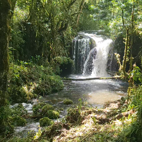 Two Day Trek To Hunwick’s Camp & Return Via The Dirigana River Loop