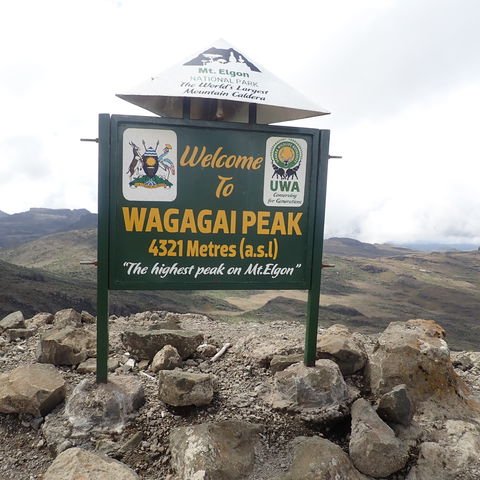 Four Day Trek to Wagagai Peak and Return Via the Sasa Trail