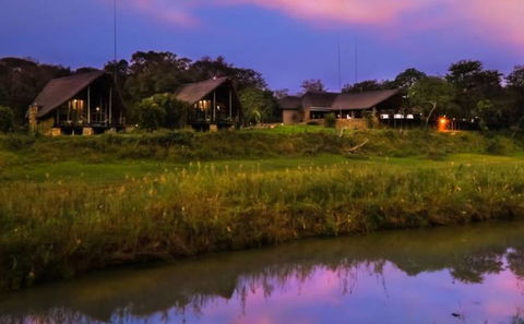 Amakhosi Safari Lodge & Spa, DCC Hotel Collection 1
