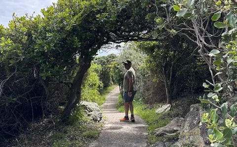 Hermanus Cliff Path, DCC Hotel Collection 1