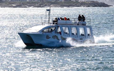 Whale Watching Hermanus, DCC Hotel Collection 1