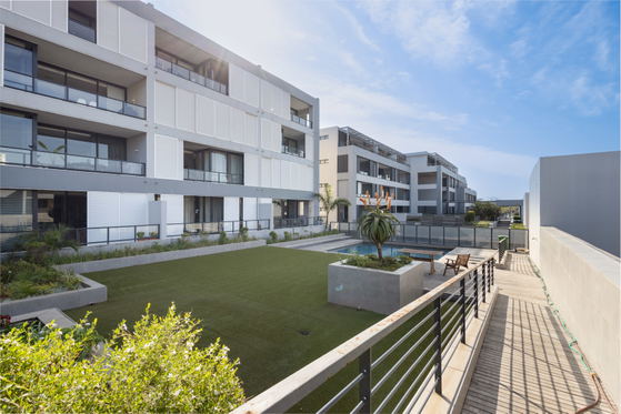 Communal Pool and garden