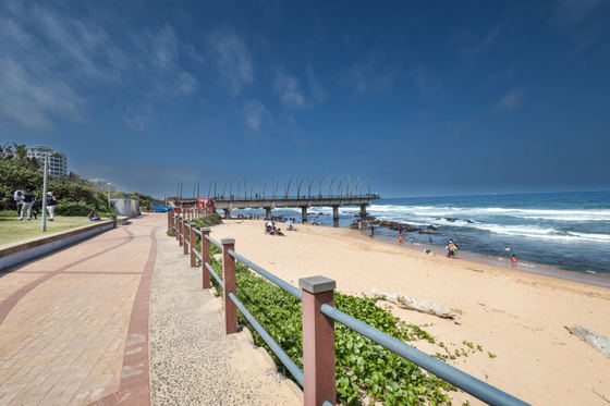 Beach and surrounding area