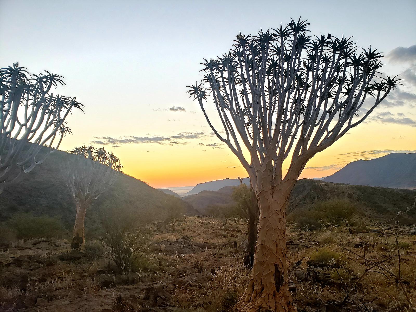 Escape to Namibia's Wilderness